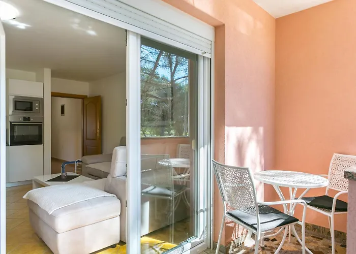 Senad - Veliki - Mpolo Medulin