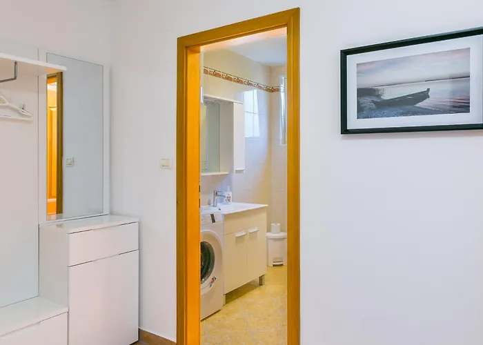 Senad - Veliki - Mpolo Medulin